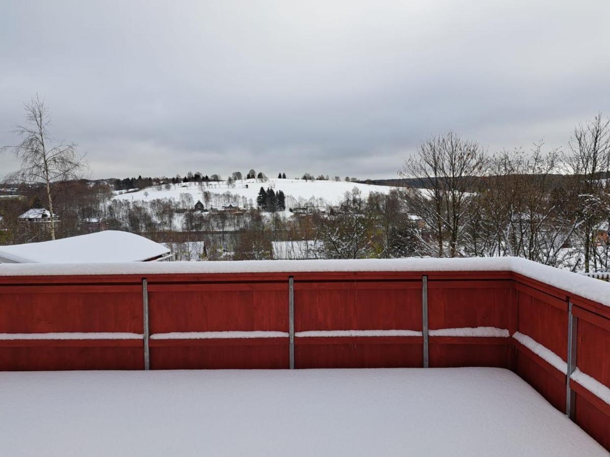 Ferienwohnung Boehmischerblick Bärenstein 外观 照片
